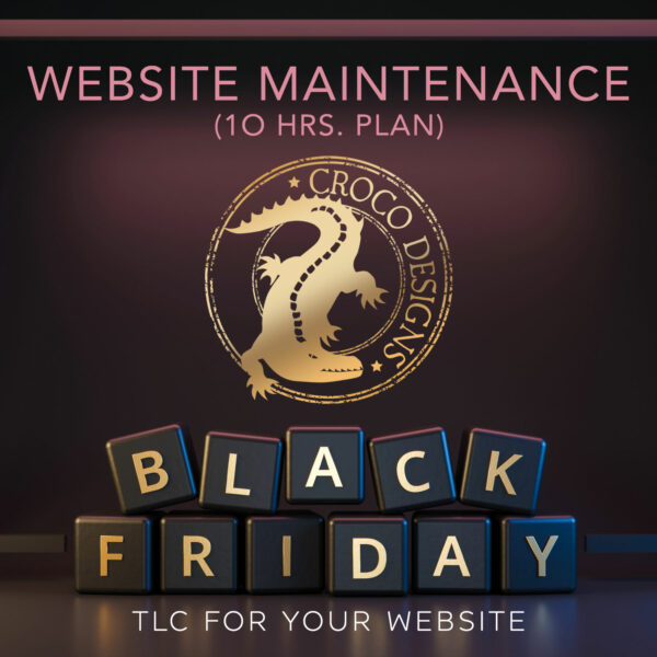 Black Friday Website Maintenance Deal 2021