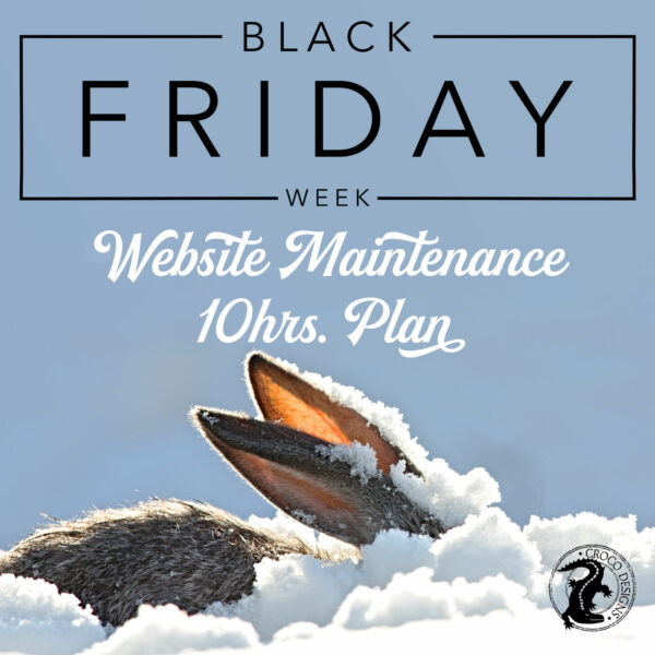Black Friday Week 2022: Website Maintenance 10hrs. Plans
