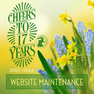 17 Years Croco Designs - Anniversary Website Maintenance Deal
